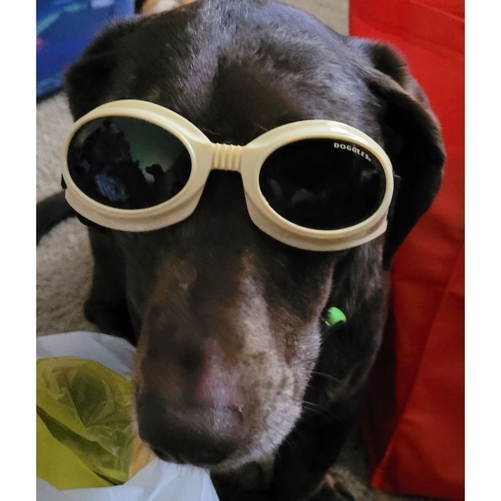 Doggles Originalz  